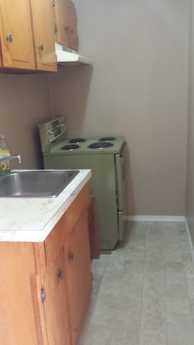 Travellers Rest Motel Salmon Arm Dış mekan fotoğraf